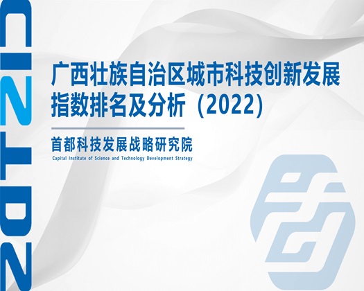 操哭女人视频【成果发布】广西壮族自治区城市科技创新发展指数排名及分析（2022）